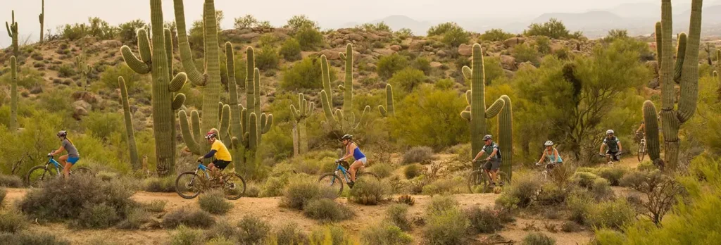 Cyclist on the Tucson Loop trail with mountain views in Oro Valley